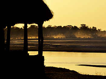 Tafika Camp: Büffelherde am Nordufer