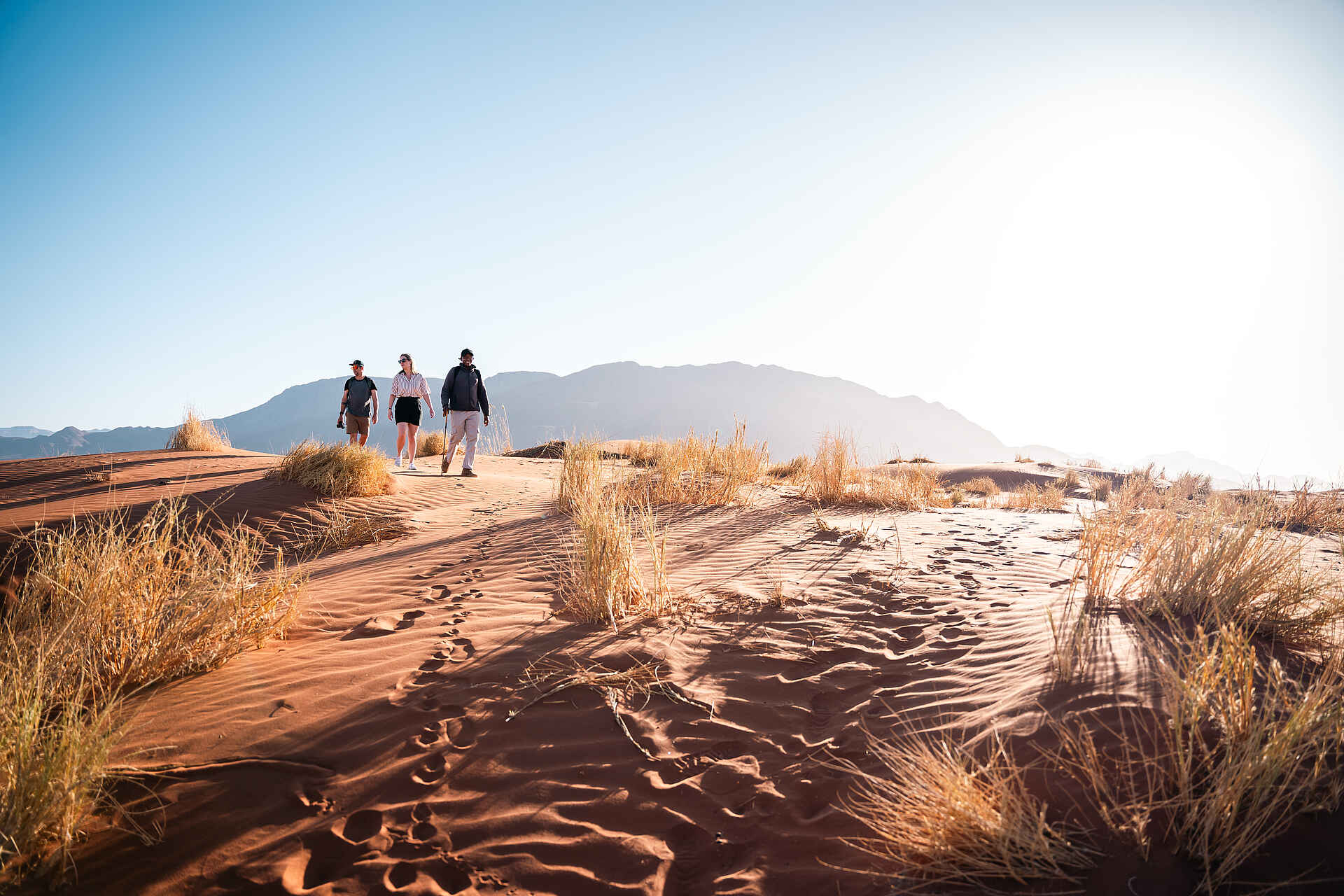 Wolwedans Dune Camp: Walking Safari