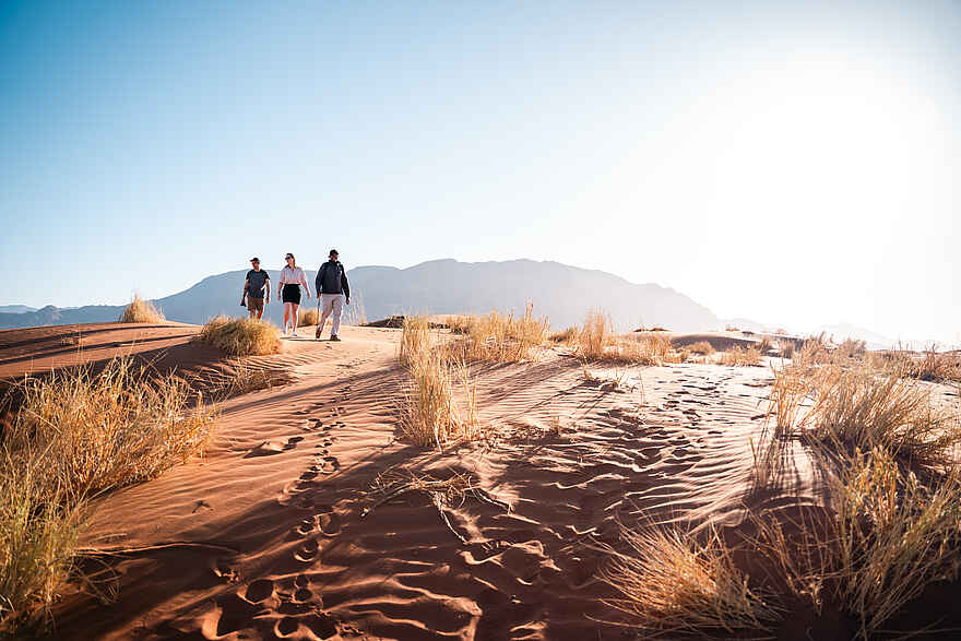 Wolwedans Dune Camp: Walking Safari Wolwedans Dune Camp: Walking Safari
