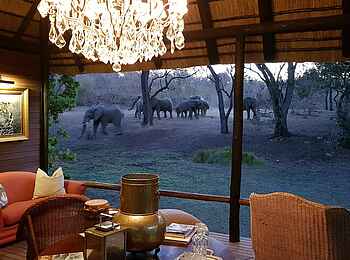 Camp Ndlovu: "Ndlovu" bedeutet "Elefant" Camp Ndlovu: "Ndlovu" bedeutet "Elefant"
