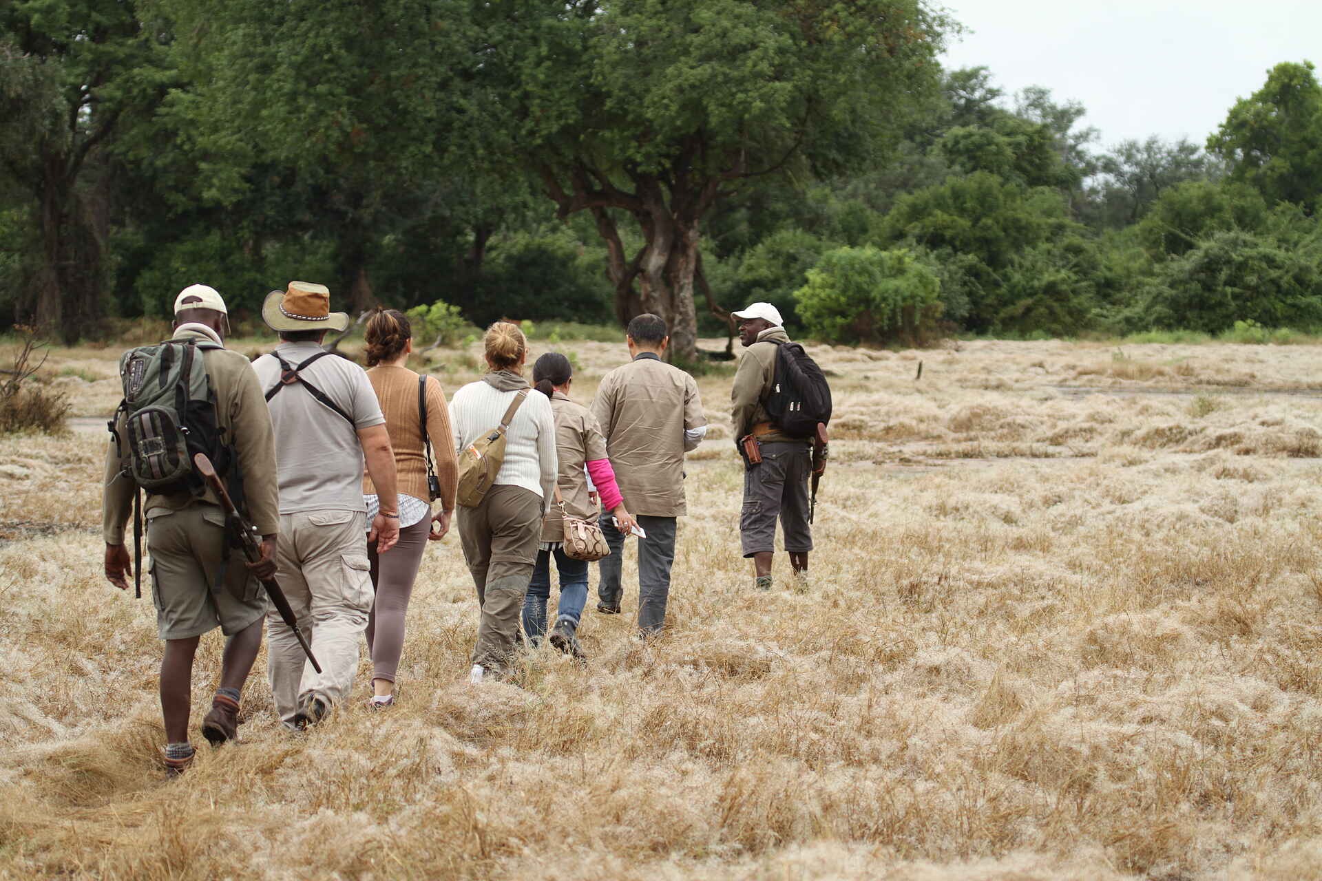 Kanga Expeditions: Walking Safari durch Graslandschaften Kanga Expeditions: Walking Safari durch Graslandschaften