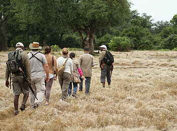 Kanga Expeditions: Walking Safari durch Graslandschaften