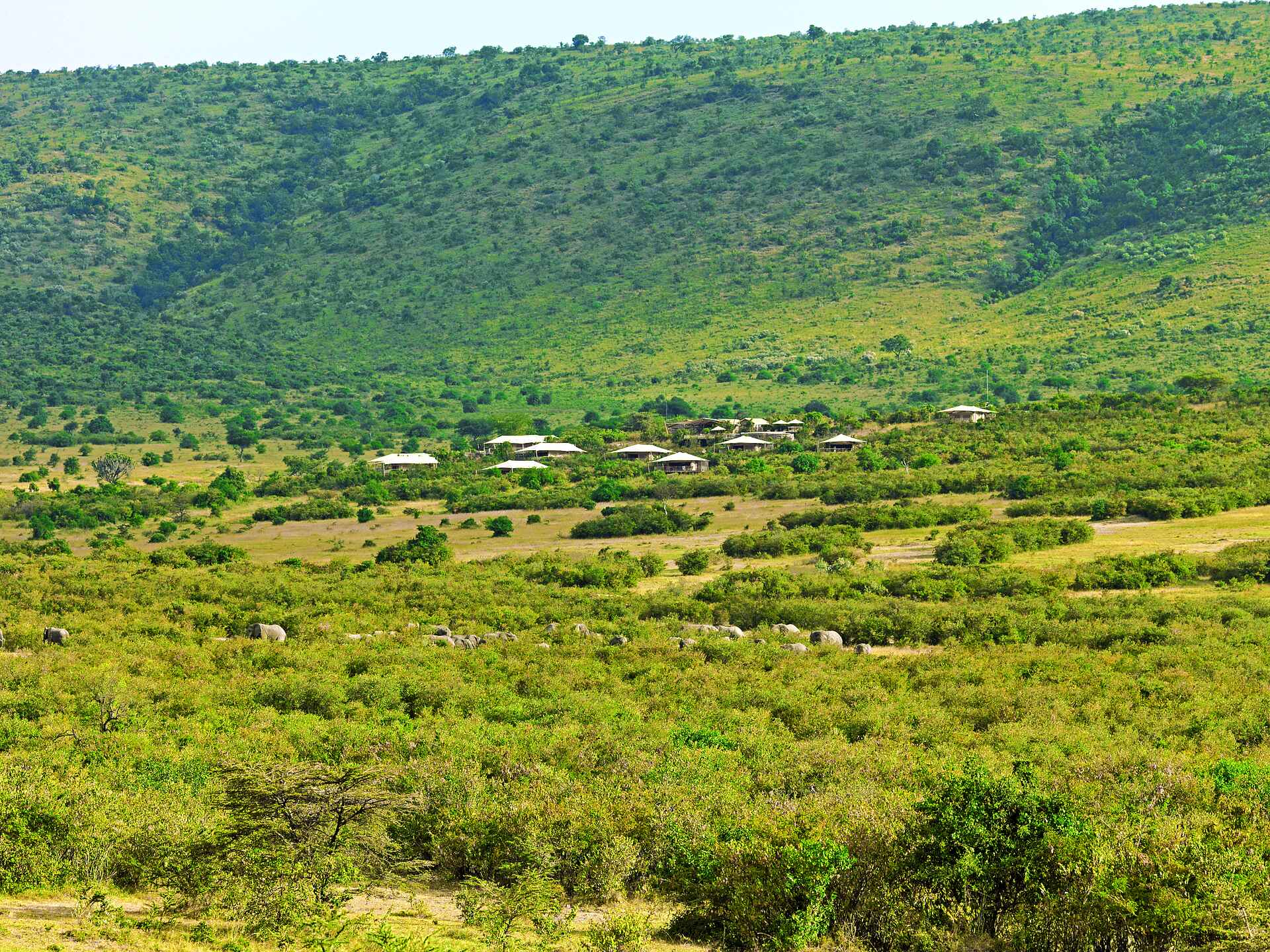 Kenia, Mara Bushtops, Mara Bushtops private Conservancy, Afrikarma Safaris – Wildnis. Hautnah., Ausblick, Gästeunterkunft, Lodge, Zelt-Suite, Afrikarma, Afrikarma Safaris, afrikarma.de