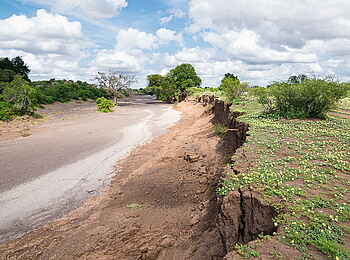 Mashatu Game Reserve: Kleiner Flusslauf