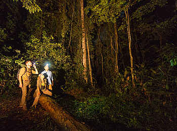 Ngaga Camp: Entdeckungen zu jeder Tages- und Nachtzeit