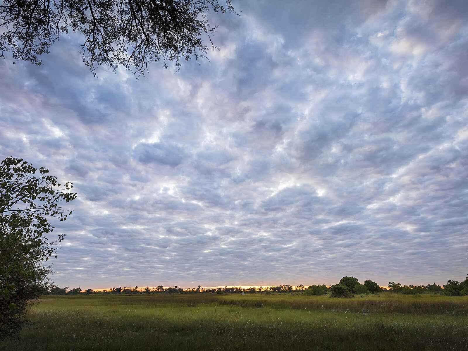 Amber River Camp: Landschaft Amber River Camp: Landschaft