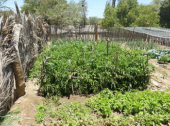 Fort Sesfontein: Das Fort besitzt einen Nutzgarten