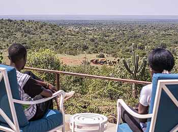 Governors' Mugie: Elefanten Beobachtung Governors' Mugie: Elefanten Beobachtung