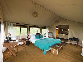 Kiota Camp: Grüne Überdecke Kiota Camp: Grüne Überdecke