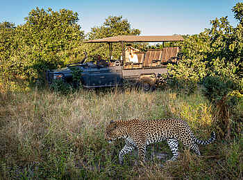 Little Duma Tau Camp: Leopardensichtung