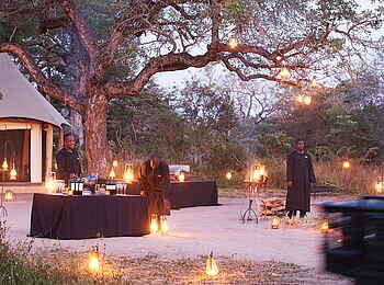 Royal Malewane: Beduinenzelt