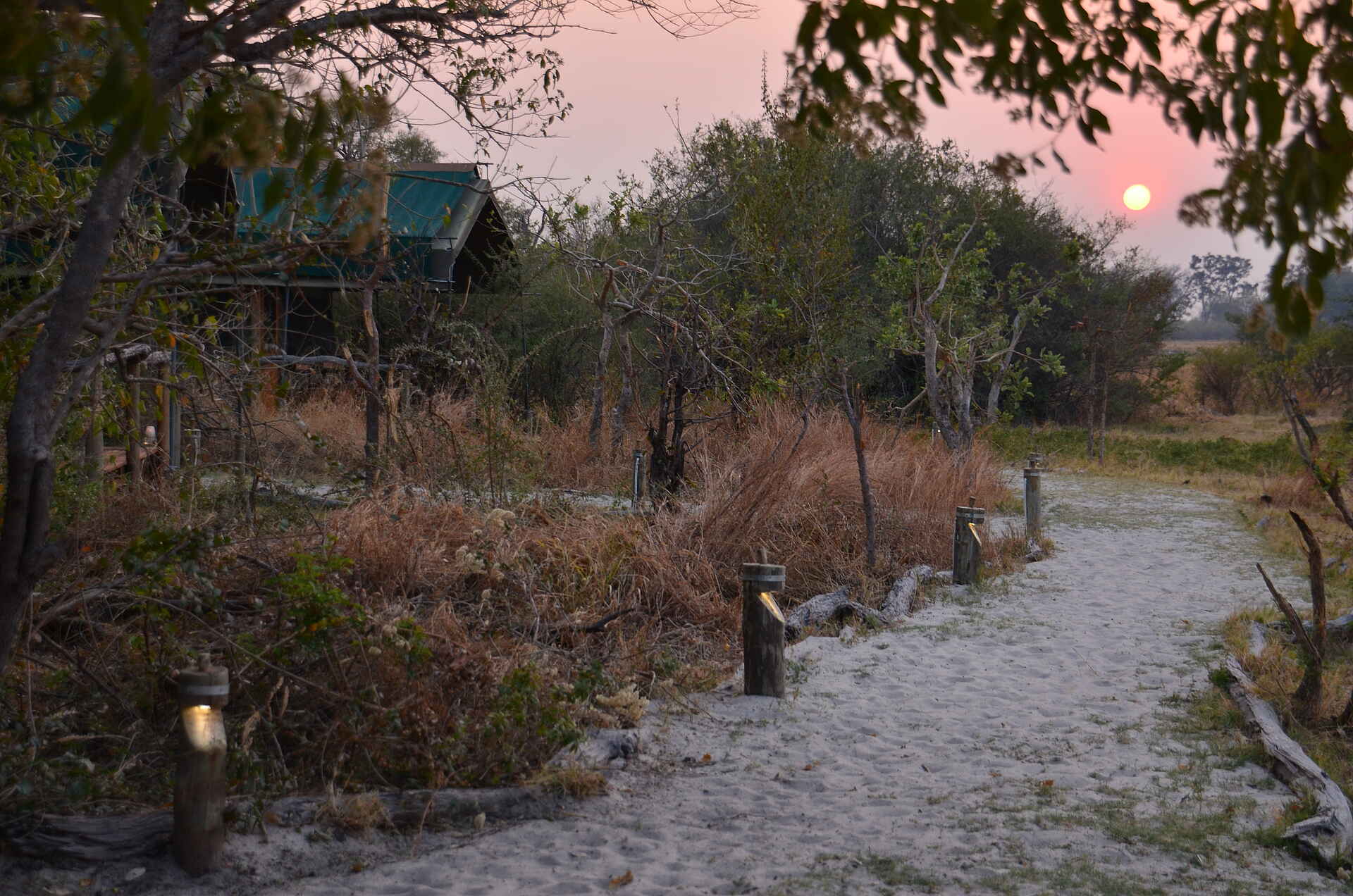 Sango Safari Camp: Fußweg Bush Ways, Khwai River, Moremi Game Reserve, NG 19, Okavango-Delta, Sango Safari Camp, Sandpfad, Afrikarma, Afrikarma Safaris, Afrikarma Safaris - Wildnis. Hautnah., Afrikarma.de