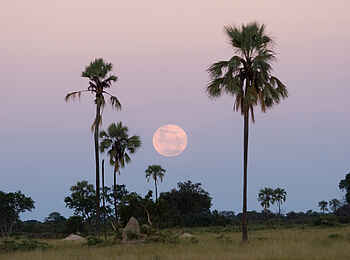 The Hide: Mondaufgang The Hide: Mondaufgang