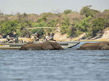 Chobe Savanna Lodge: Elefanten im Wasser