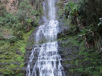 Frog and Fern Cottages: Bridal Veil Falls Frog and Fern Cottages: Bridal Veil Falls