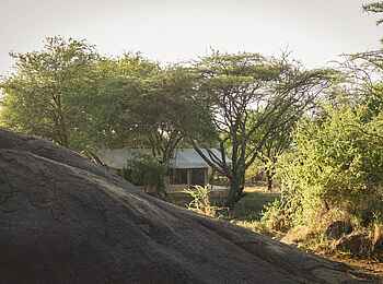 Kusini Serengeti Camp: Blick auf Gästezelt