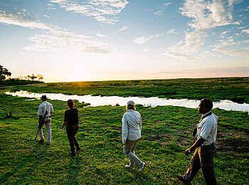 Linyanti Expeditions: Fußsafari am Rand der Sümpfe Linyanti Expeditions: Fußsafari am Rand der Sümpfe