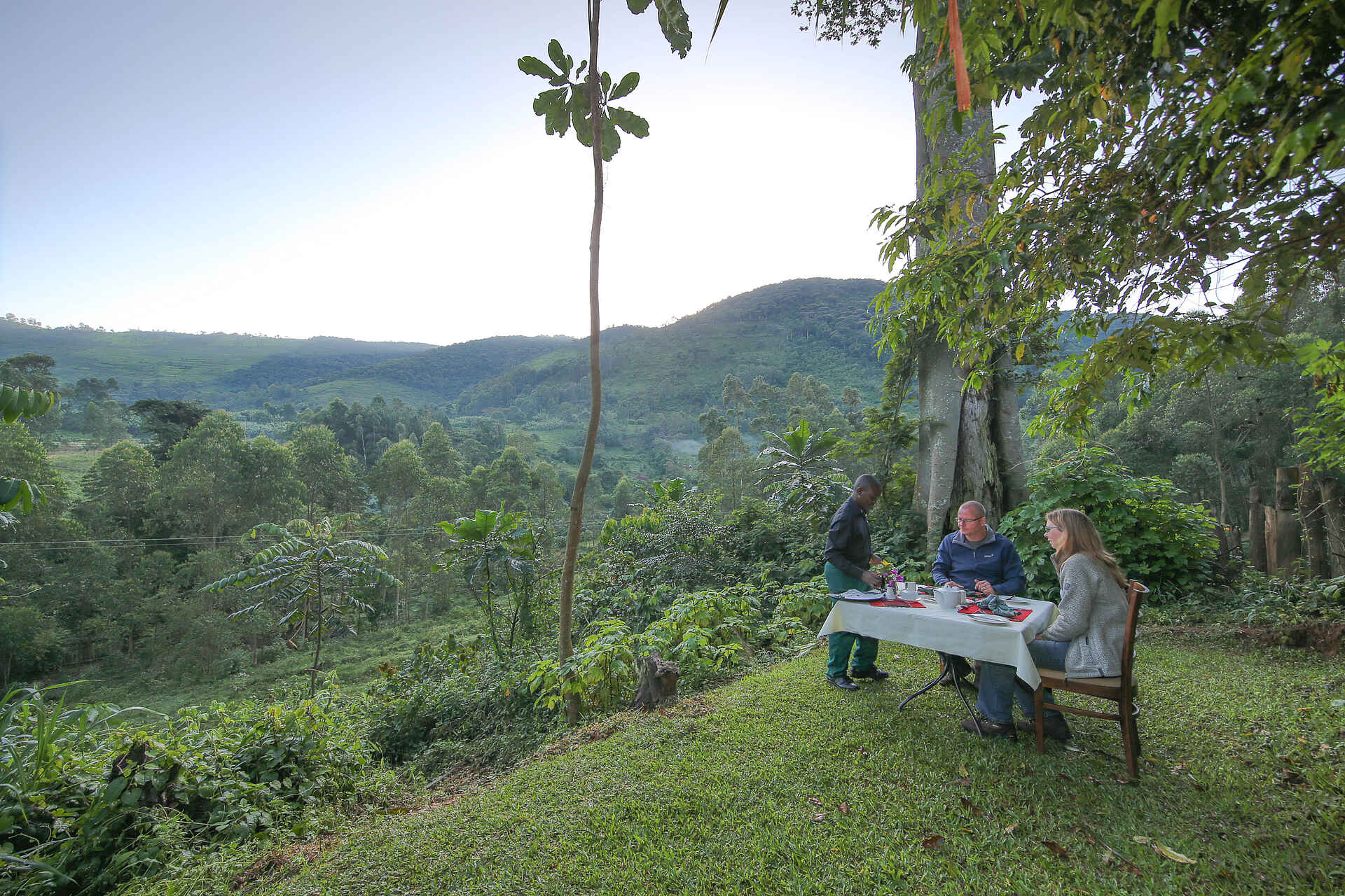 Buhoma, Bwindi Impenetrable Forest National Park, Gorilla beringei, Gorilla Tracking, Mahogany Springs Safari Lodge, Blick, Dinner, Afrikarma, Afrikarma Safaris, Afrikarma Safaris - Wildnis. Hautnah., Afrikarma.de