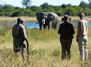 Duma Tau Camp: Walking Safari
