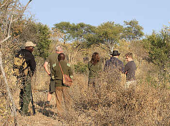Jozibanini Camp: Geführte Buschwanderungen Jozibanini Camp: Geführte Buschwanderungen