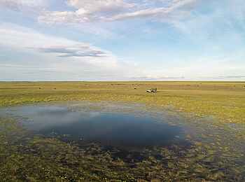 King Lewanika Lodge: Wasserstelle King Lewanika Lodge: Wasserstelle