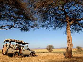 Kuro Tarangire: Unterwegs im Safarifahrzeug Kuro Tarangire: Unterwegs im Safarifahrzeug