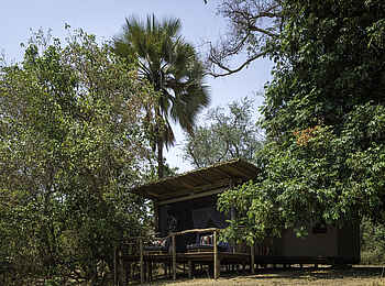 Little Ruckomechi Camp: Gästezelt mit privater Terrasse