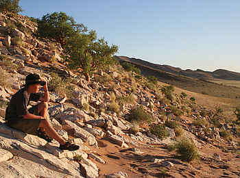 Namib Naukluft Lodge: Felslandschaft