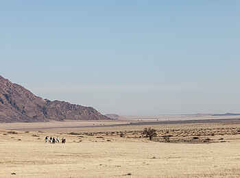 Namib Outpost: Reiten in einer beeindruckenden Landschaft Namib Outpost: Reiten in einer beeindruckenden Landschaft