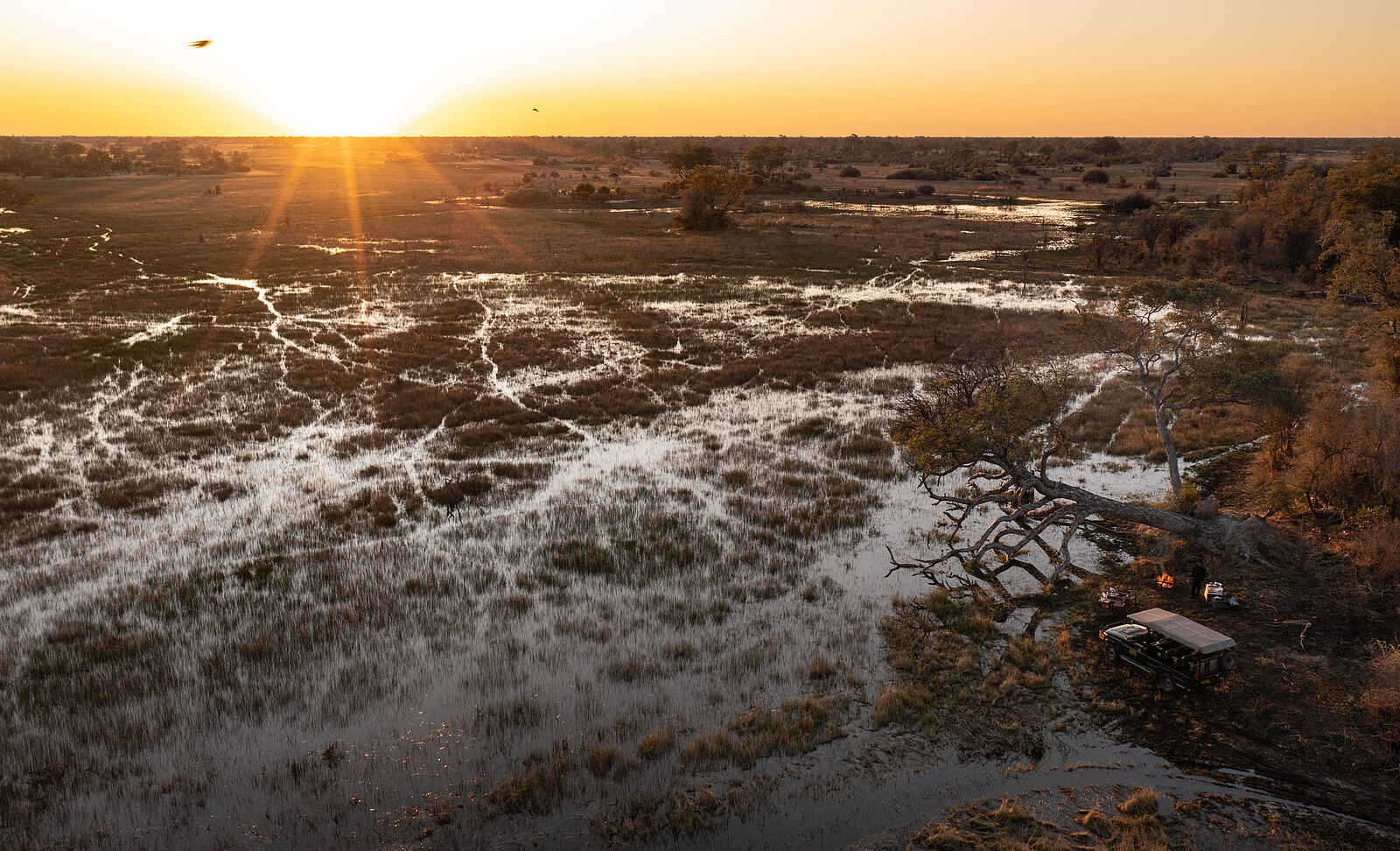Okavango Explorers Camp: Der Blick über das Delta Okavango Explorers Camp: Der Blick über das Delta