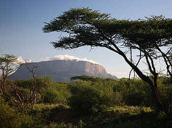 Saruni Samburu: Landschaft mit dem Mt. Ololokwe