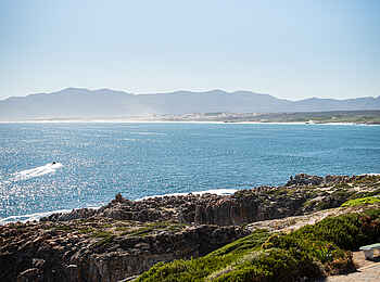 Whalesong Lodge: Aussicht von der Lodge Whalesong Lodge: Aussicht von der Lodge