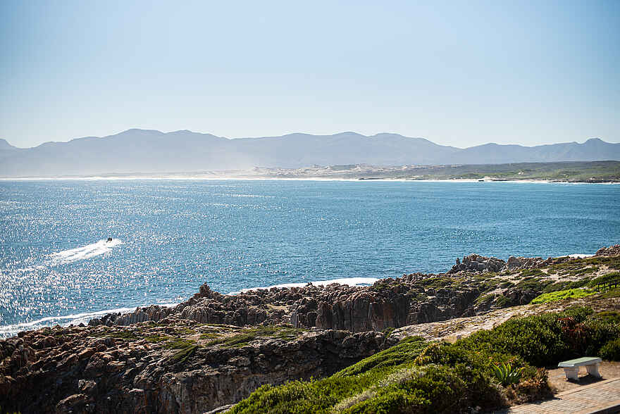 Whalesong Lodge: Aussicht von der Lodge Whalesong Lodge: Aussicht von der Lodge