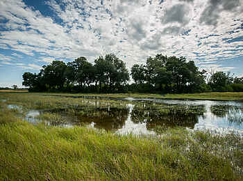 Bushman Plains Camp: Lage des Camps auf einer Insel Bushman Plains Camp: Lage des Camps auf einer Insel