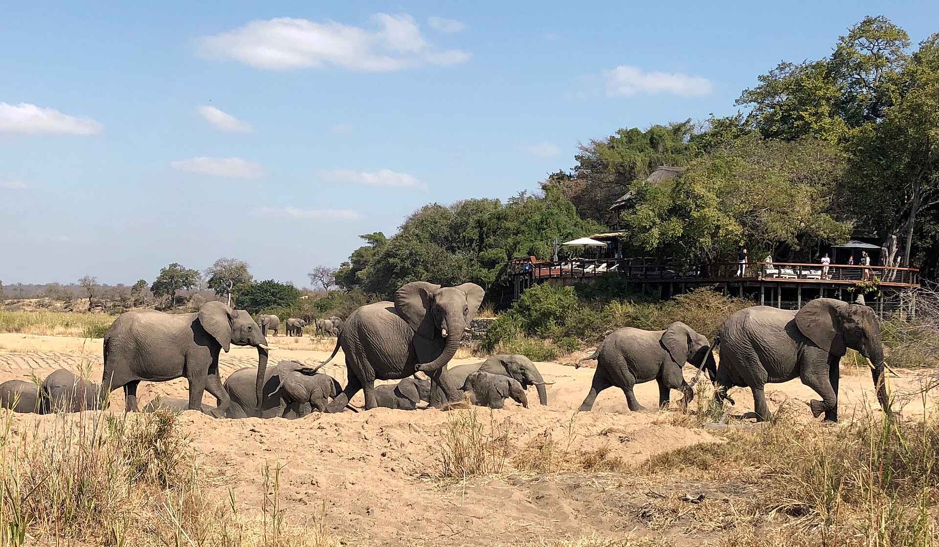 Jock Safari Lodge, Krüger Nationalpark, Safari, Südafrika, Elefanten, Afrikarma, Afrikarma Safaris, Afrikarma Safaris - Wildnis. Hautnah., Afrikarma.de