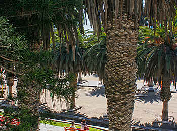 Swakopmund Luxury Suites: Blick aus einer Luxury Suite