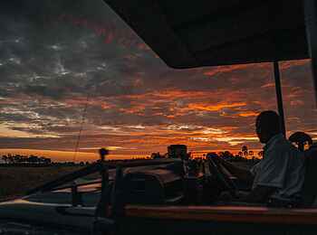 Chitabe Lediba Camp: Fahrt in die Nacht