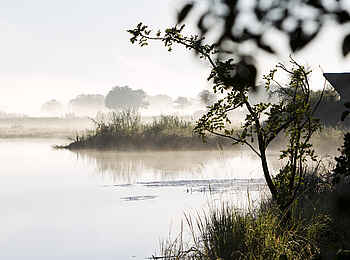Lagoon Camp: Nebel über der Lagune Lagoon Camp: Nebel über der Lagune