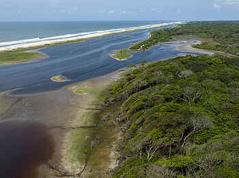Loango Savannah Camp: Küste