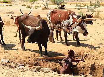 Okahirongo River Camp: Hirtenkultur Okahirongo River Camp: Hirtenkultur