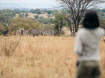 Ole Serai Luxury Camp - Kogatende: Wandersafari Ole Serai Luxury Camp - Kogatende: Wandersafari