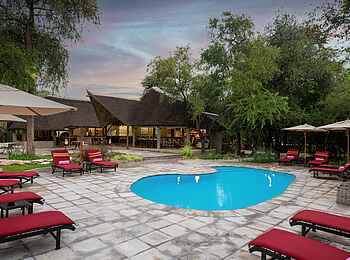 Onguma Forest Camp: Am Pool