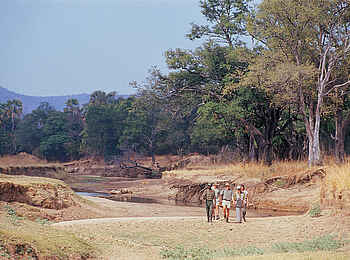 Robin Pope Safaris: Weg durch ein trockengefallenes Flussbett