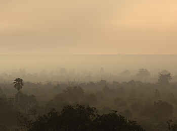 Sand Rivers Selous: Morgennebel