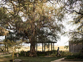 Segera Retreat: Der Garten