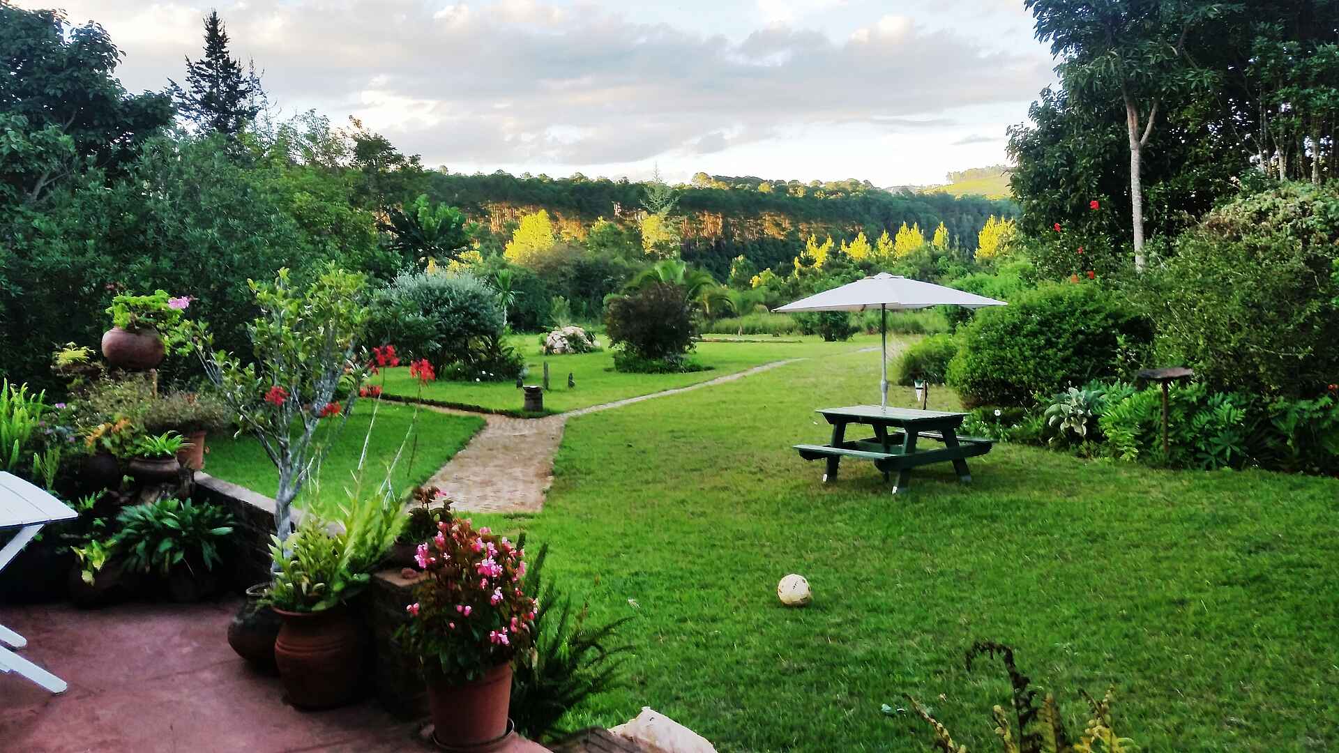 Luwawa Forest Lodge: Blick in den Garten