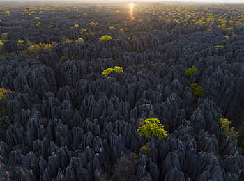 Namoroka Tsingy Camp: Blick auf Tsingy von oben