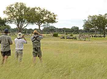 Camelthorn Lodge: Walking Safari durch frisches Grün Camelthorn Lodge: Walking Safari durch frisches Grün