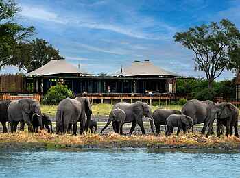 Daunara Safari Camp: Elefanten vor dem Camp