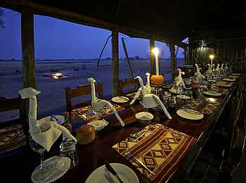 Davison's Camp: Kraniche, Reiher oder Dinosaurier? Davison's Camp: Kraniche, Reiher oder Dinosaurier?